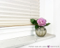 Preview: Ansicht Perfect Jade silk Fensterbank Preview: Ansicht Perfect Jade silk Fensterbank