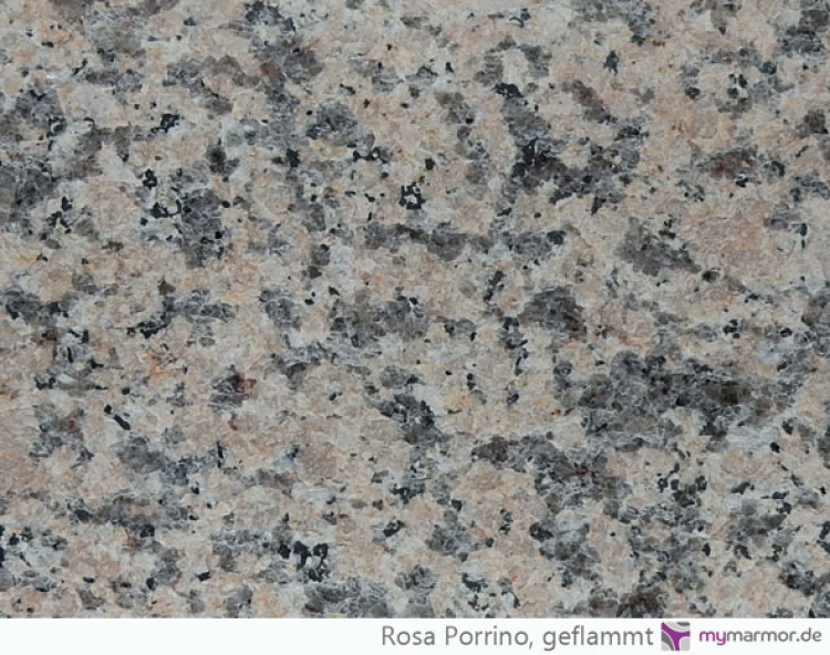 Preview: Rosa Porrino, geflammt