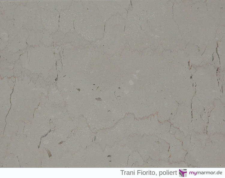 Preview: Tischplatte Trani Fiorito, poliert