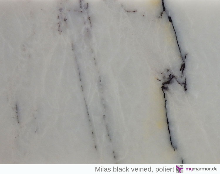 Tischplatte Milas black veined poliert
