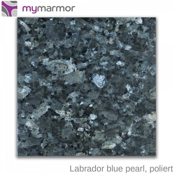 Ansicht Labrador blue pearl